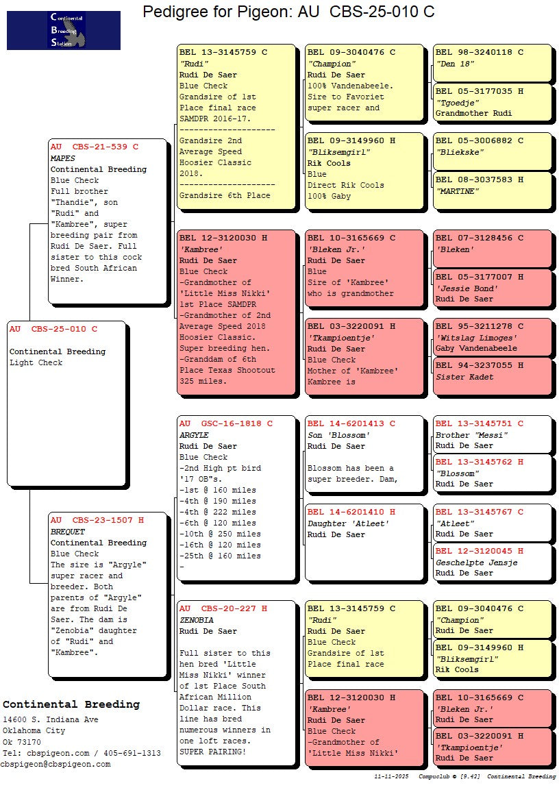 25-CBS-10 Light check male.