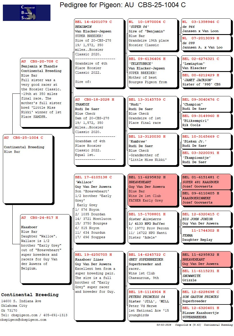 25-CBS-1004 Blue cock. Grandson "Benjamin"