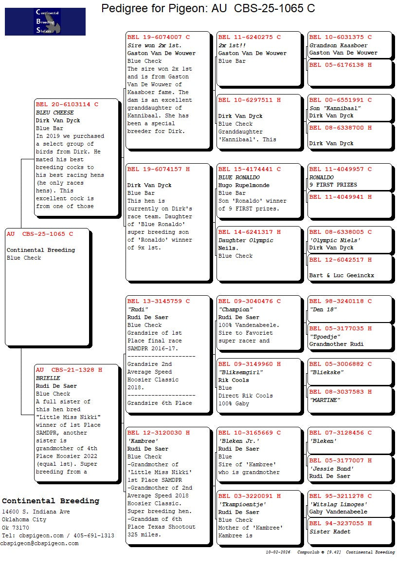 25-CBS-1065 Blue check cock.