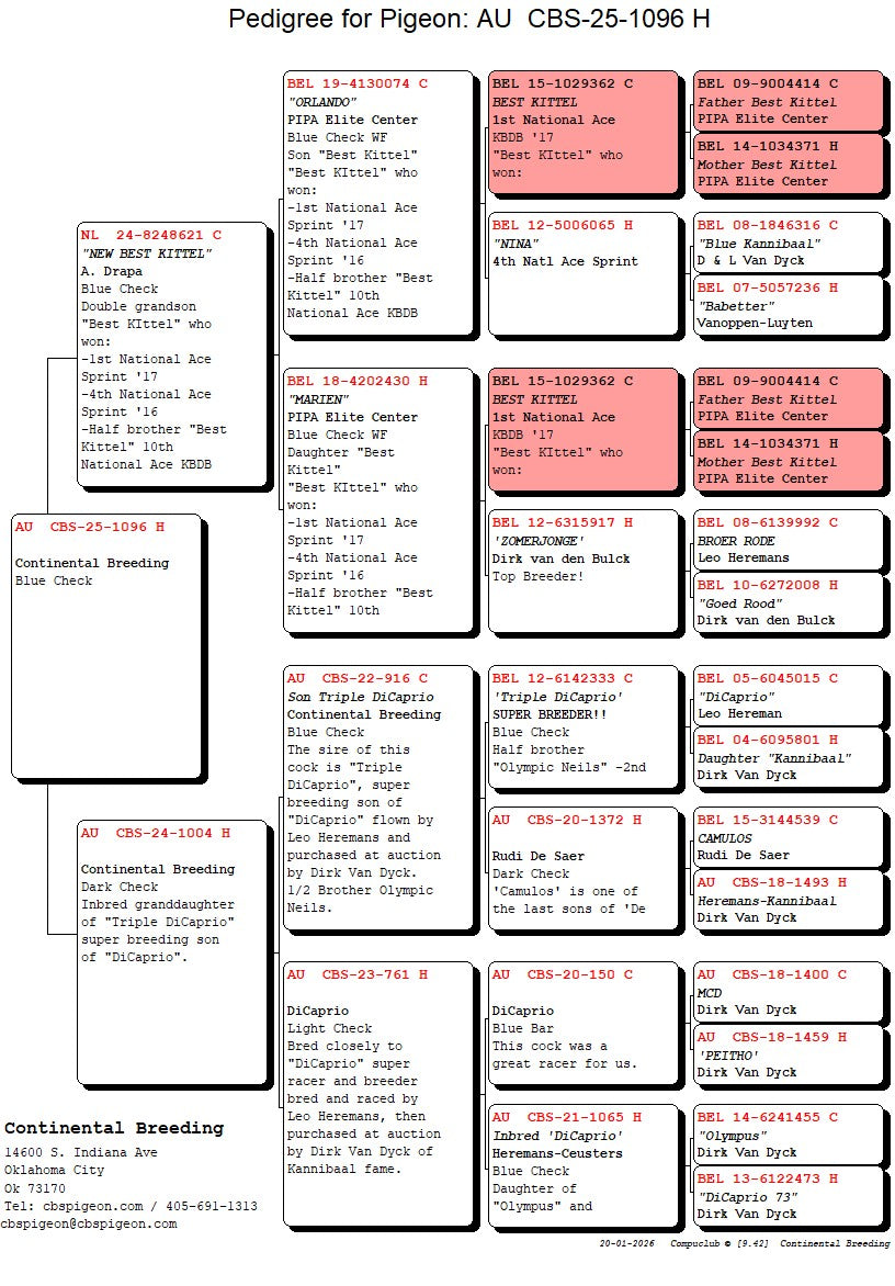 25-CBS-1096 Blue Check hen. Daughter "New Best Kittel"