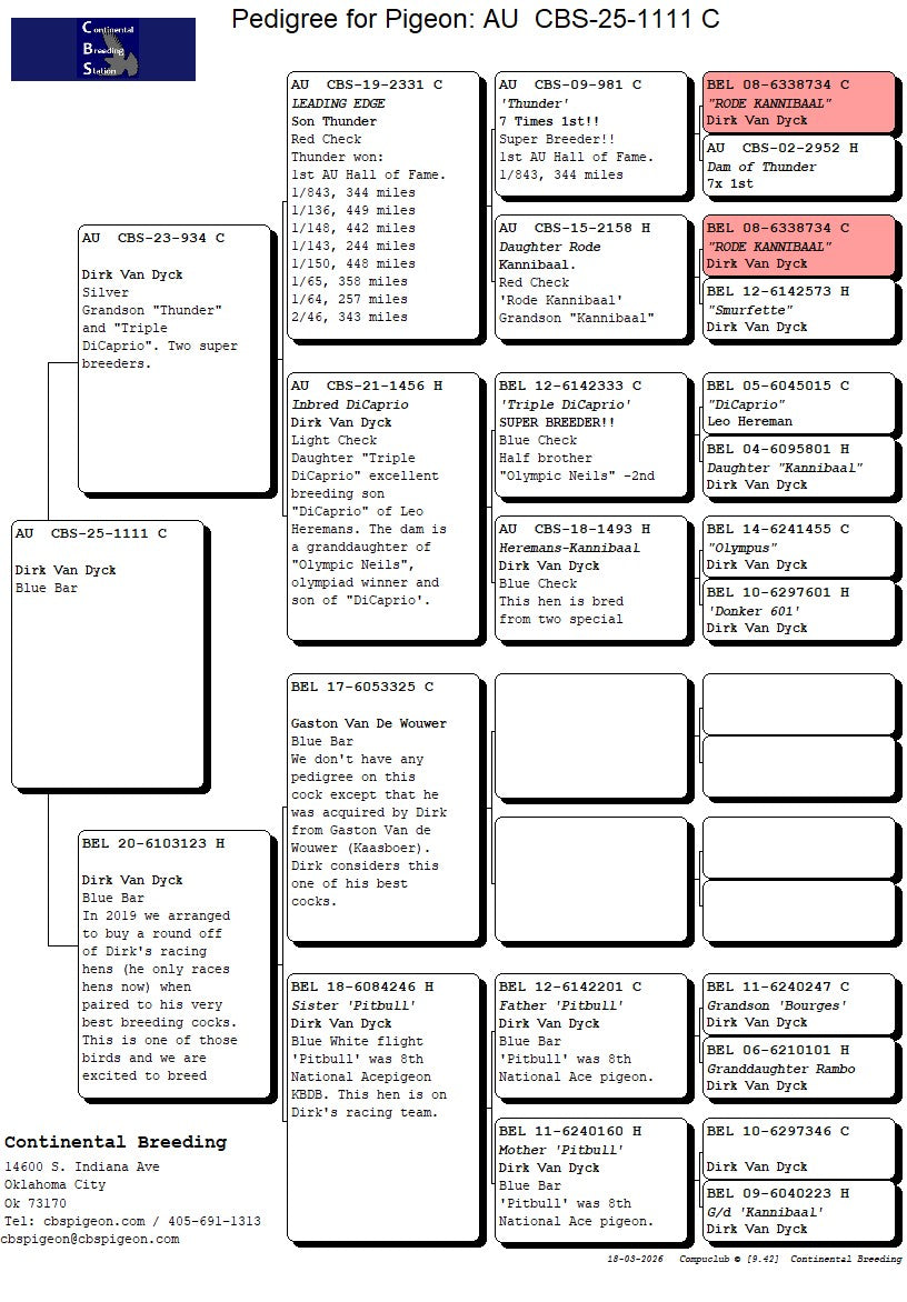 25-CBS-1111 Blue Cock. Dirk Van Dyck