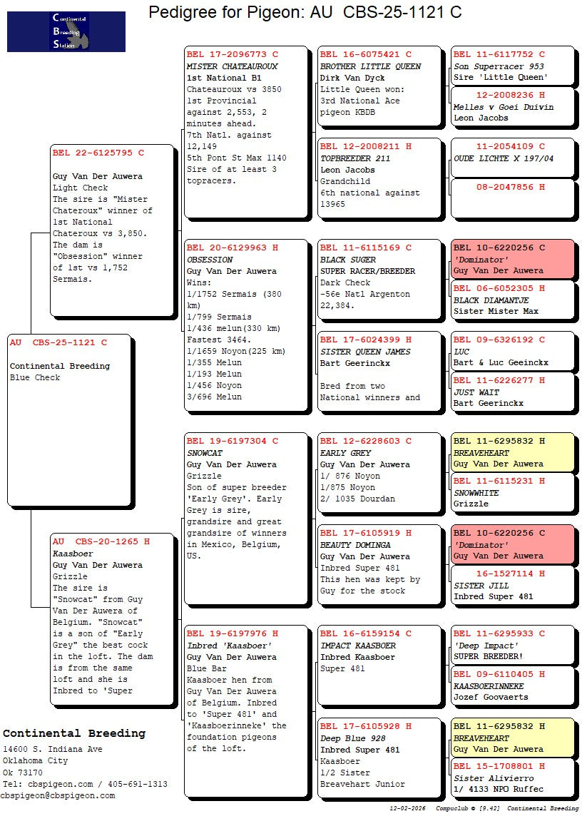 25-CBS-1121 Blue check splash male. Kaasboer