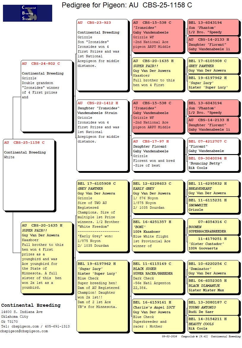 25-CBS-1148 White Grizzle cock. Inbred "Early Grey"