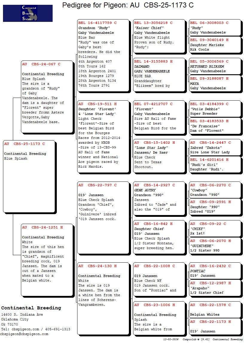 25-CBS-1173 Blue splash cock.