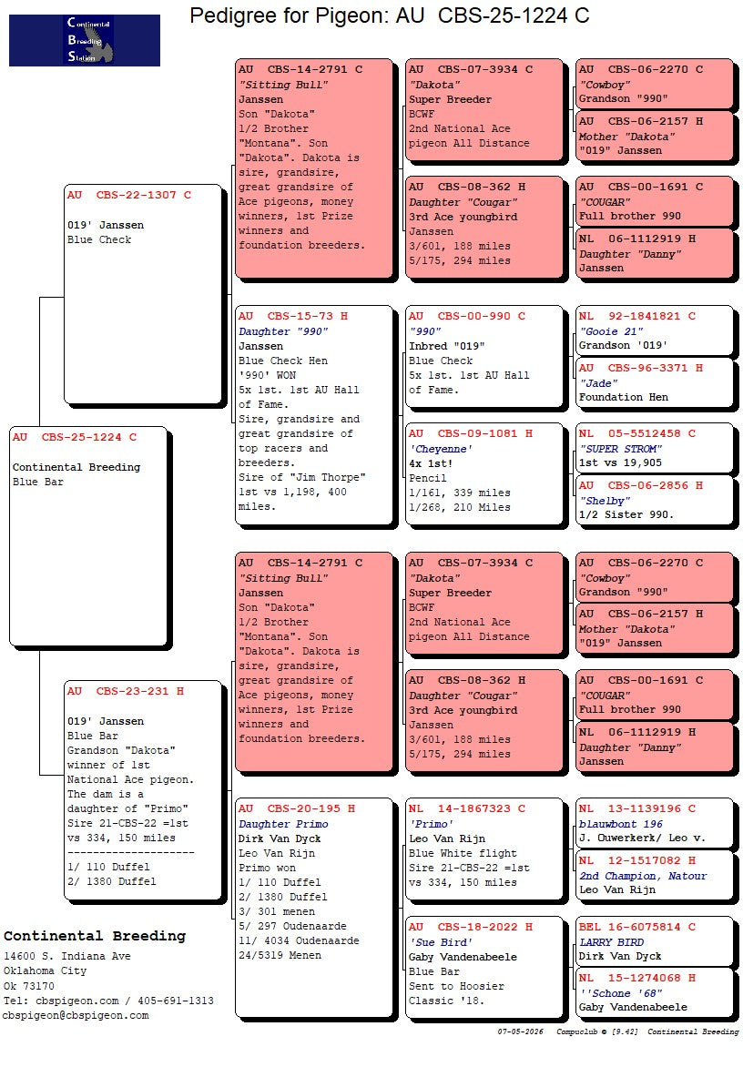 25-CBS-1224 Blue Cock. 019 Janssen