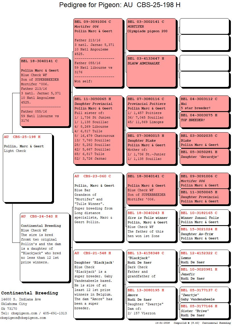 25-CBS-198 Blue check hen. Marc & Geert Pollin.