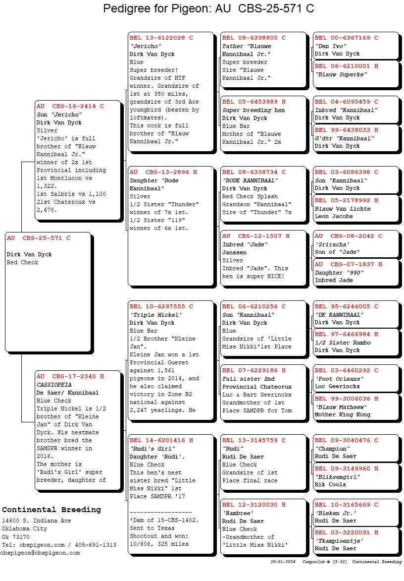 25-CBS-571 Red check male.