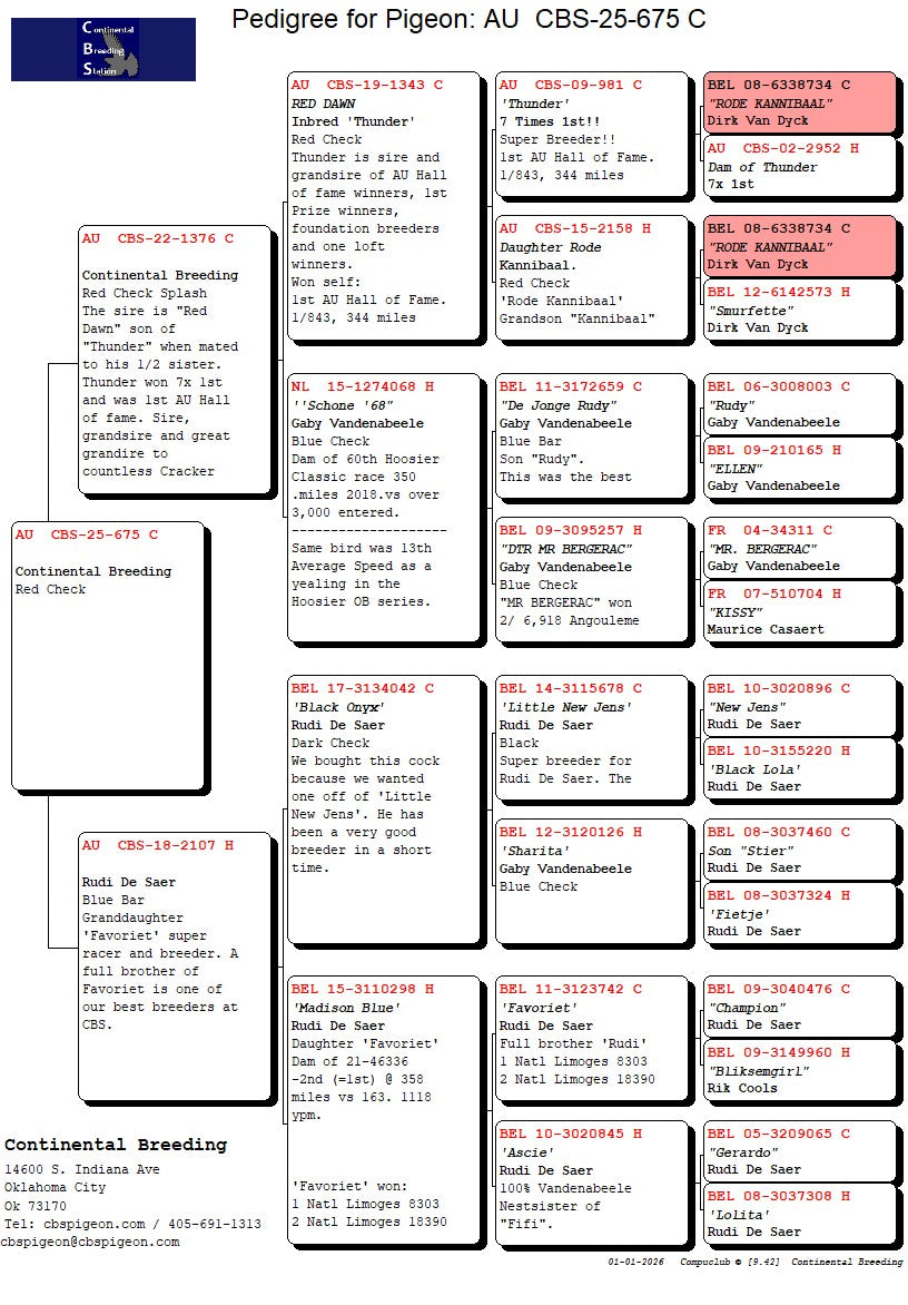 25-CBS-675 Red check male.