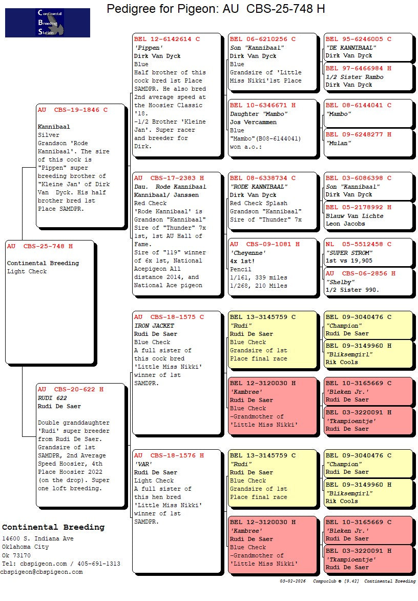25-CBS-748 Light check hen. Granddaughter "Pippen"