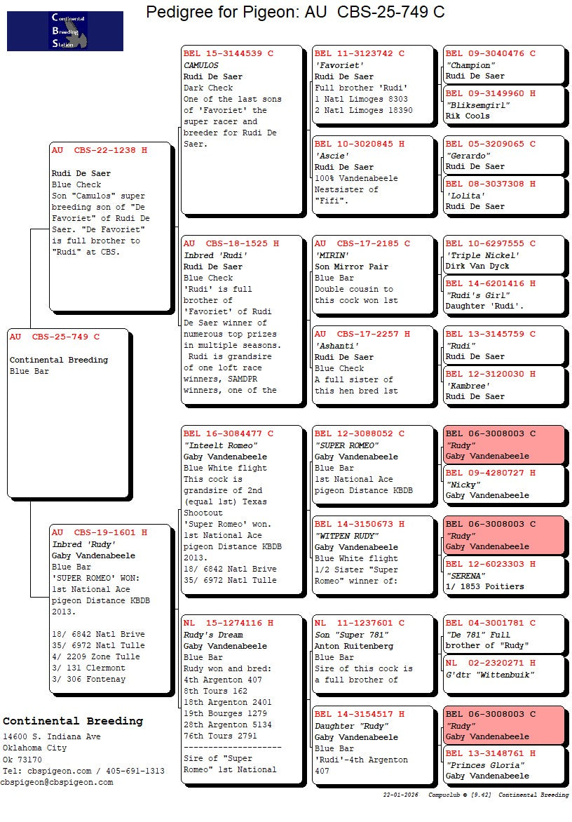 25-CBS-749 Blue cock. Gaby Vandenabeele.