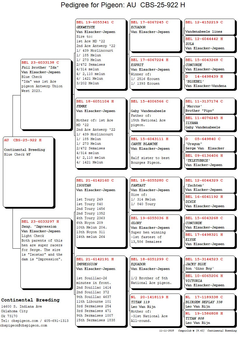 25-CBS-922 Blue check white flight hen.