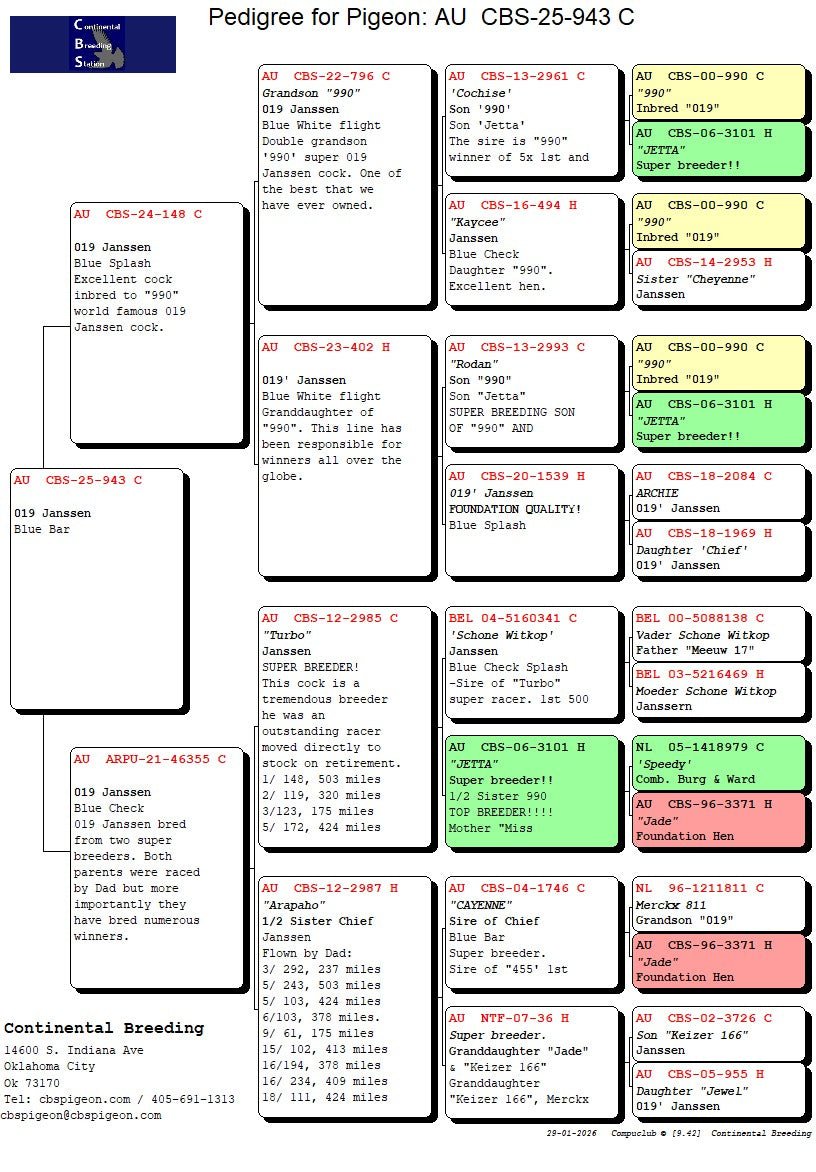25-CBS-943 Blue cock. Inbred "Jade". 019 Janssen