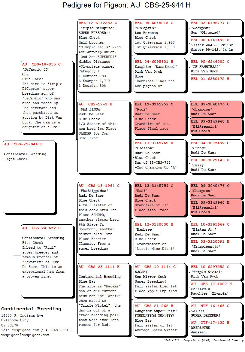 25-CBS-944 Light Check hen.