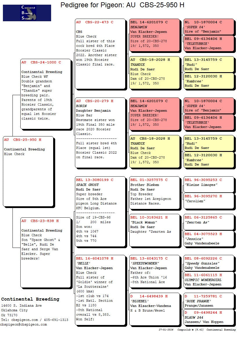 25-CBS-950 Blue check hen?