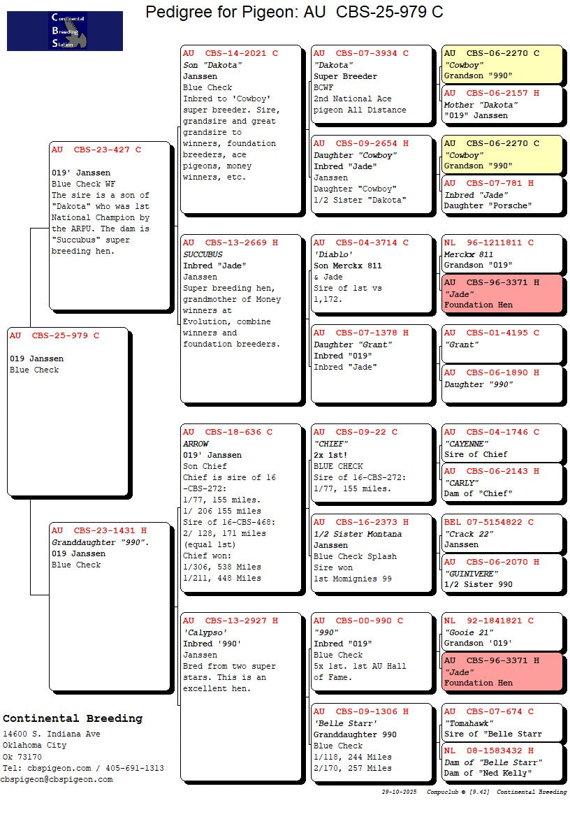 25-CBS-979 Blue check cock.