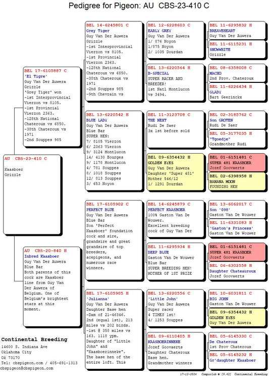Congratulations Chuck Kuehl.  CBS 23-410 is the sire of the Lucky 17 2nd ACE pigeon and the second Ace Grizzle  award