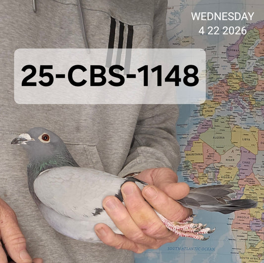 25-CBS-1148 Blue hen. Kannibaal, Kaasboer.