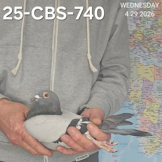 25-CBS-740 Blue Check cock.