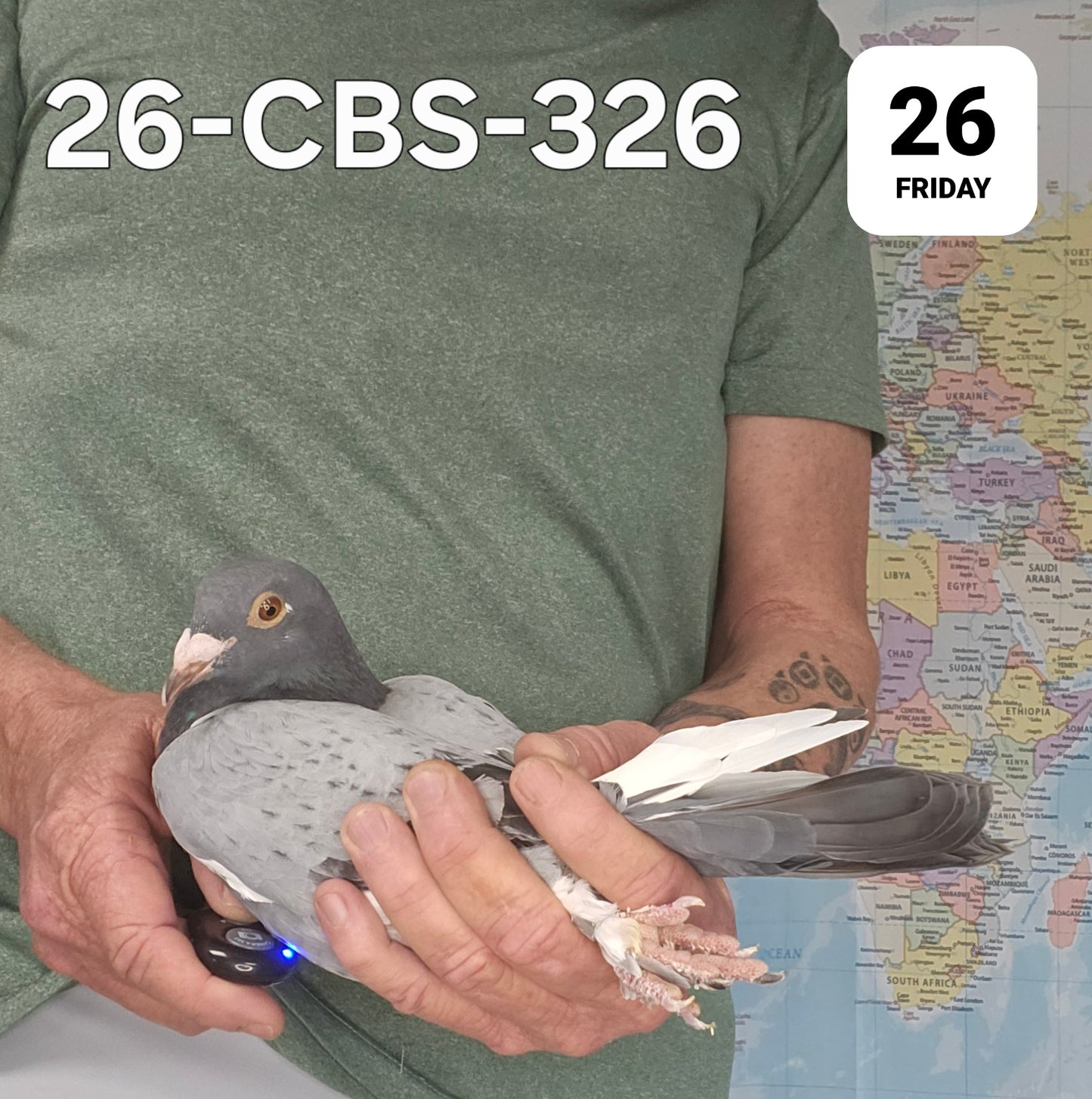 26-CBS-326 Pencil Splash cock. 019 Janssen