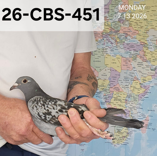 26-CBS-451 Blue check hen. Kittel & Kannibaal.