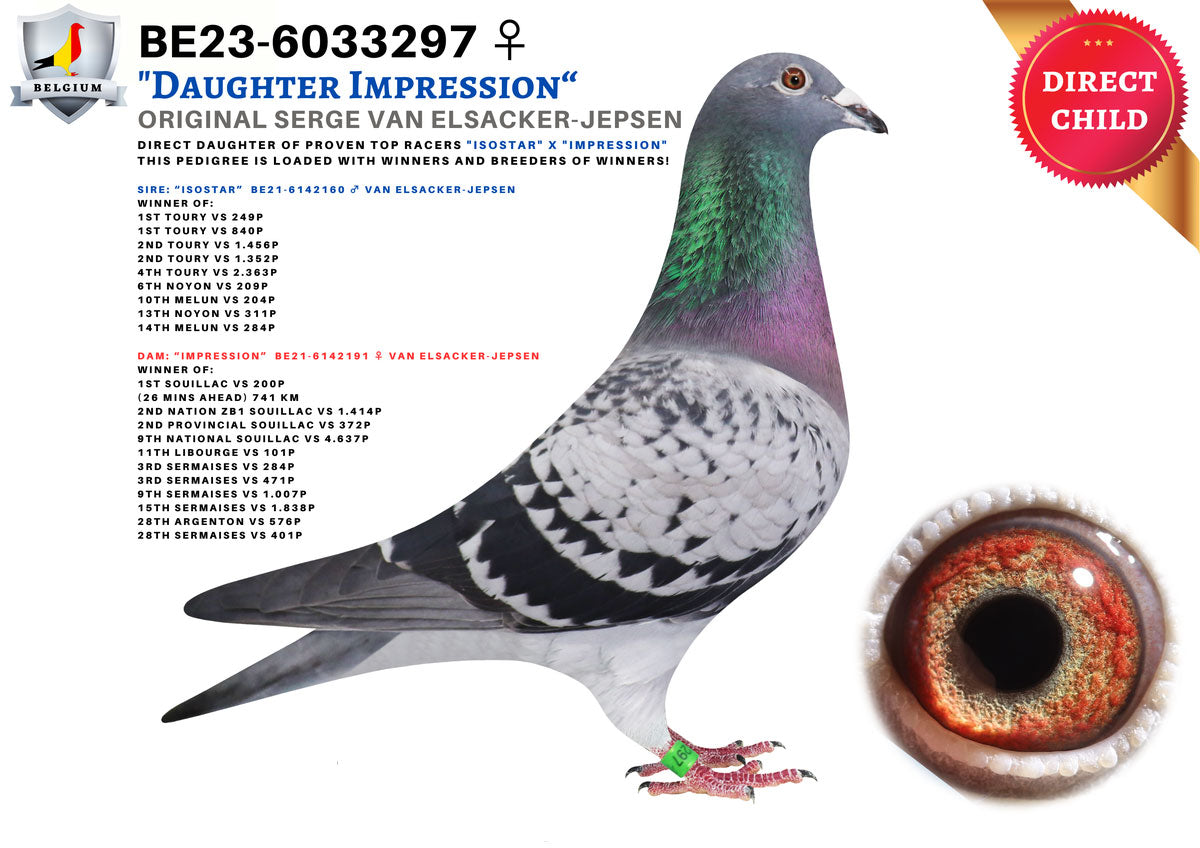 25-CBS-762 Blue Splash Hen. The best of Serge Van Elsacker