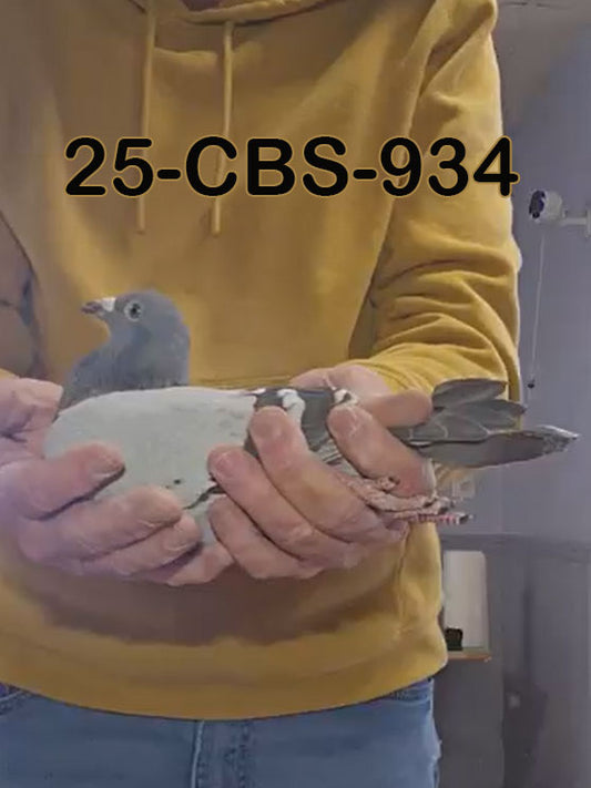 25-CBS-934 Blue Hen. 019 Janssen