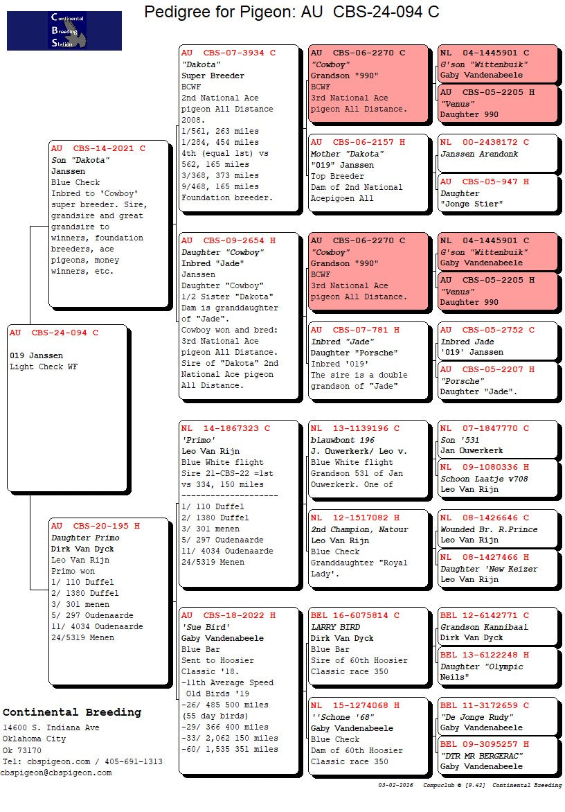 24-CBS-94 Light check white flight cock.