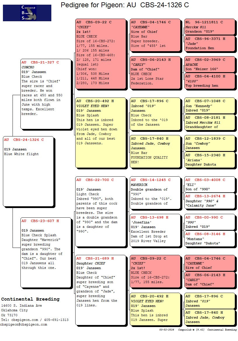 24-CBS-1326 Blue splash cock. 019 Janssen