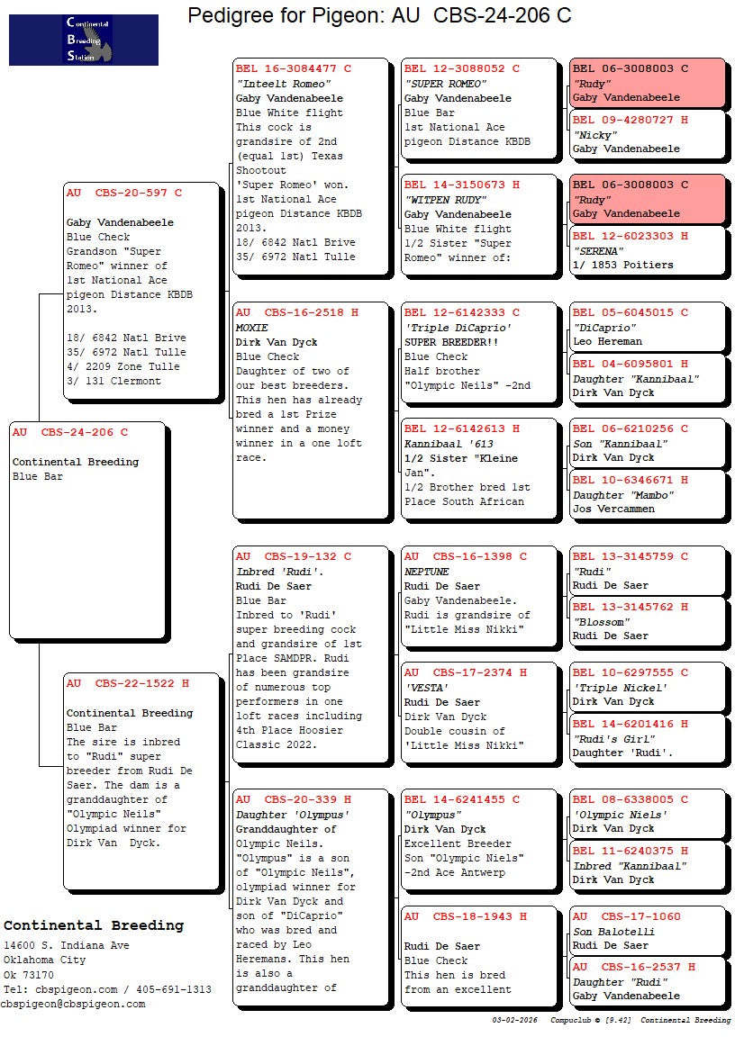 24-CBS-206 Blue cock. Vandenabeele.