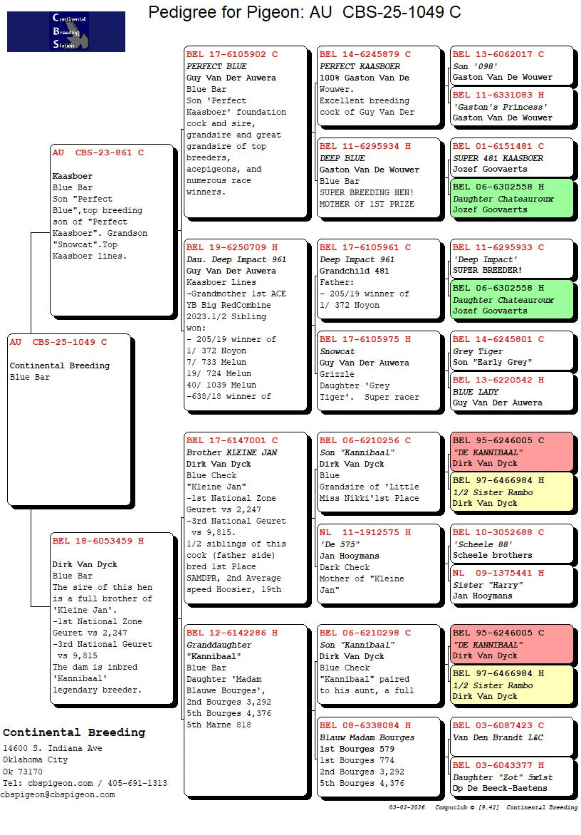 25-CBS-1049 Blue cock. Kaasboer & Kannibaal
