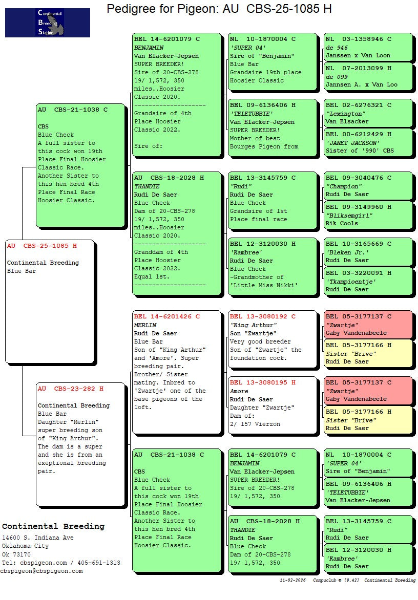 25-CBS-1085 Blue hen. Granddaughter "Benjamin" and "Thandie".