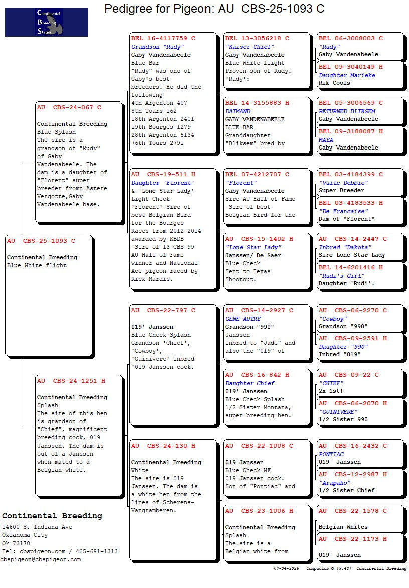 25-CBS-1093 Blue White flight cock