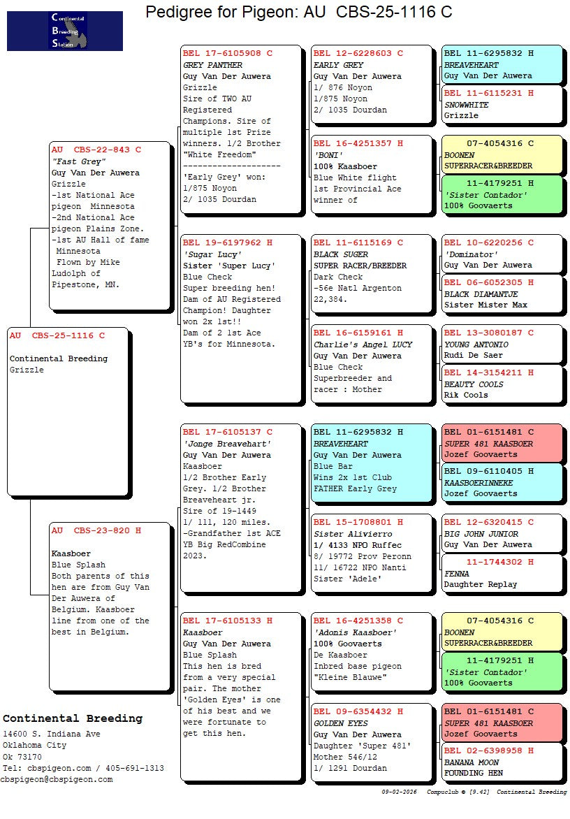 25-CBS-1116 Grizzle cock. Son 'Fast Grey', grandson "Early Grey"