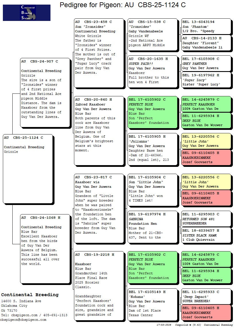 25-CBS-1124 Grizzle Cock. Kaasboer.