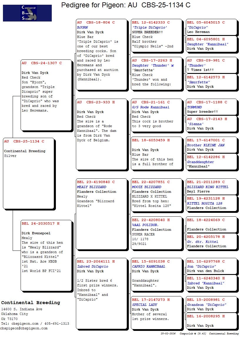 25-CBS-1134 Silver cock. Kittel, Kannibaal.