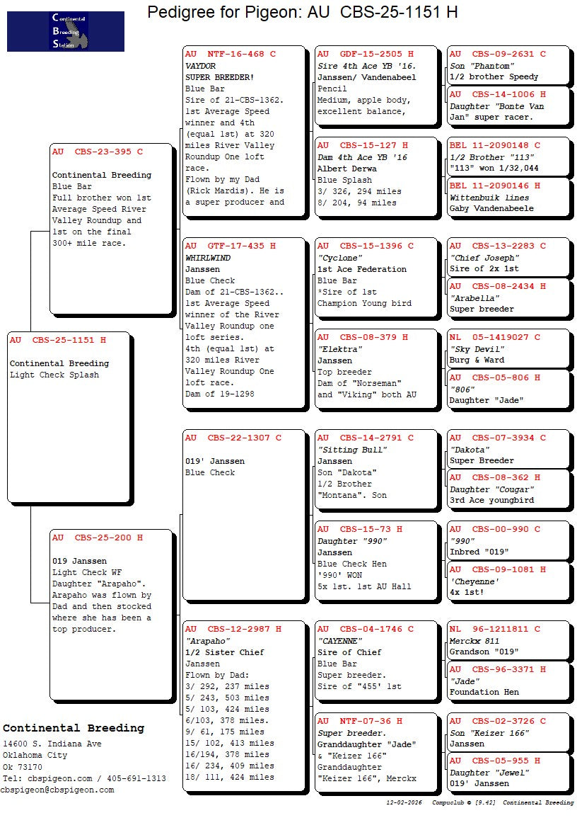25-CBS-1151 Light check splash hen.
