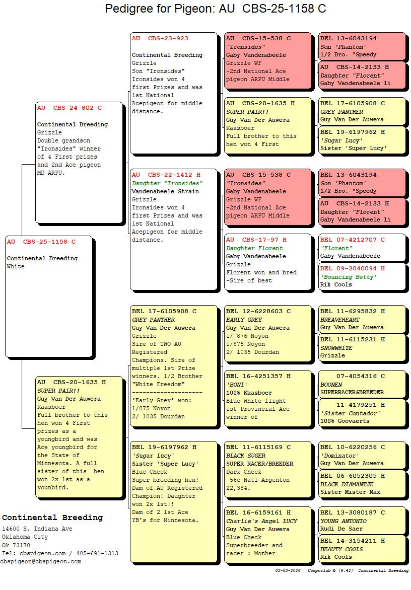 25-CBS-1158 White grizzle cock.