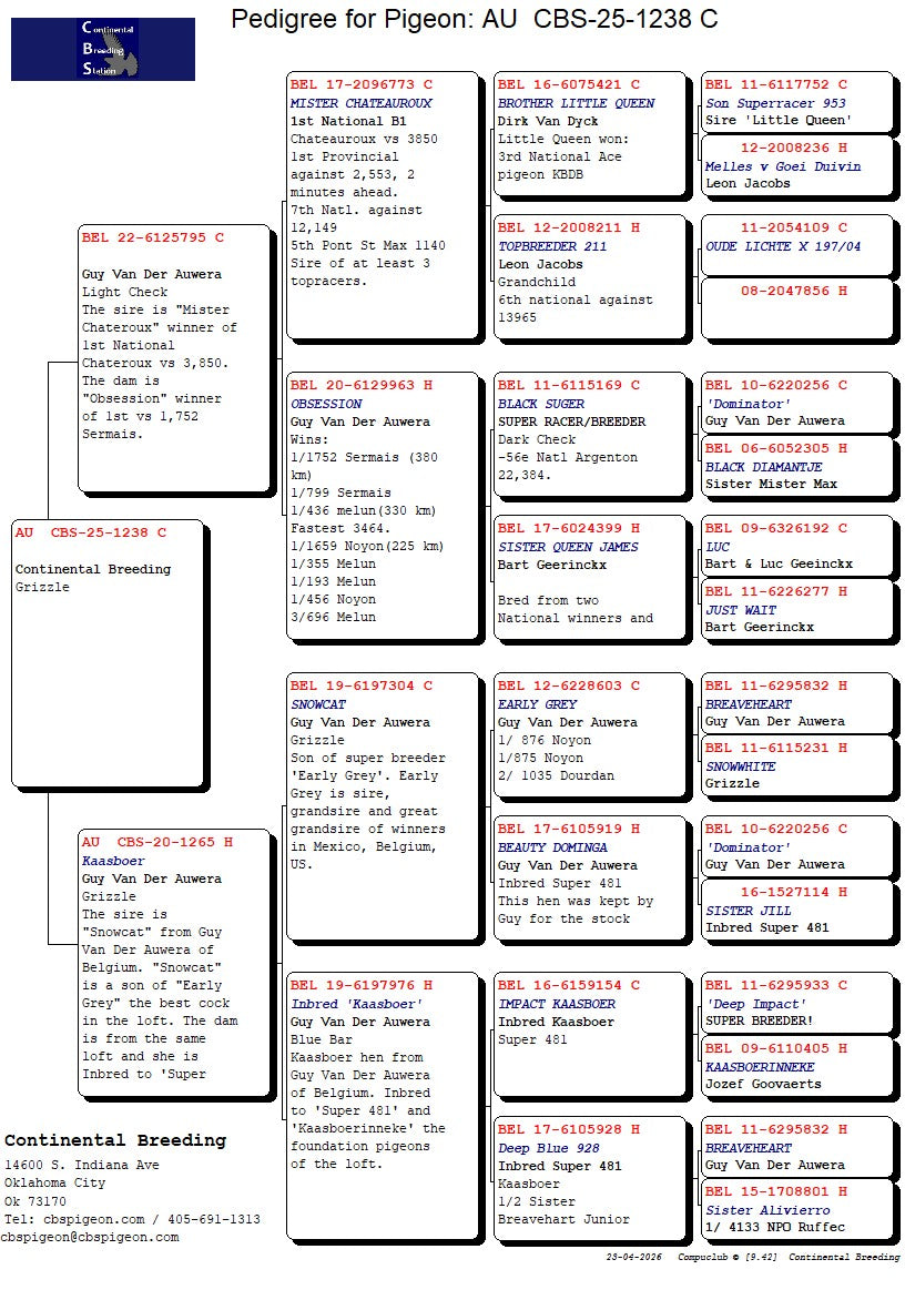 25-CBS-1238 Grizzle cock.