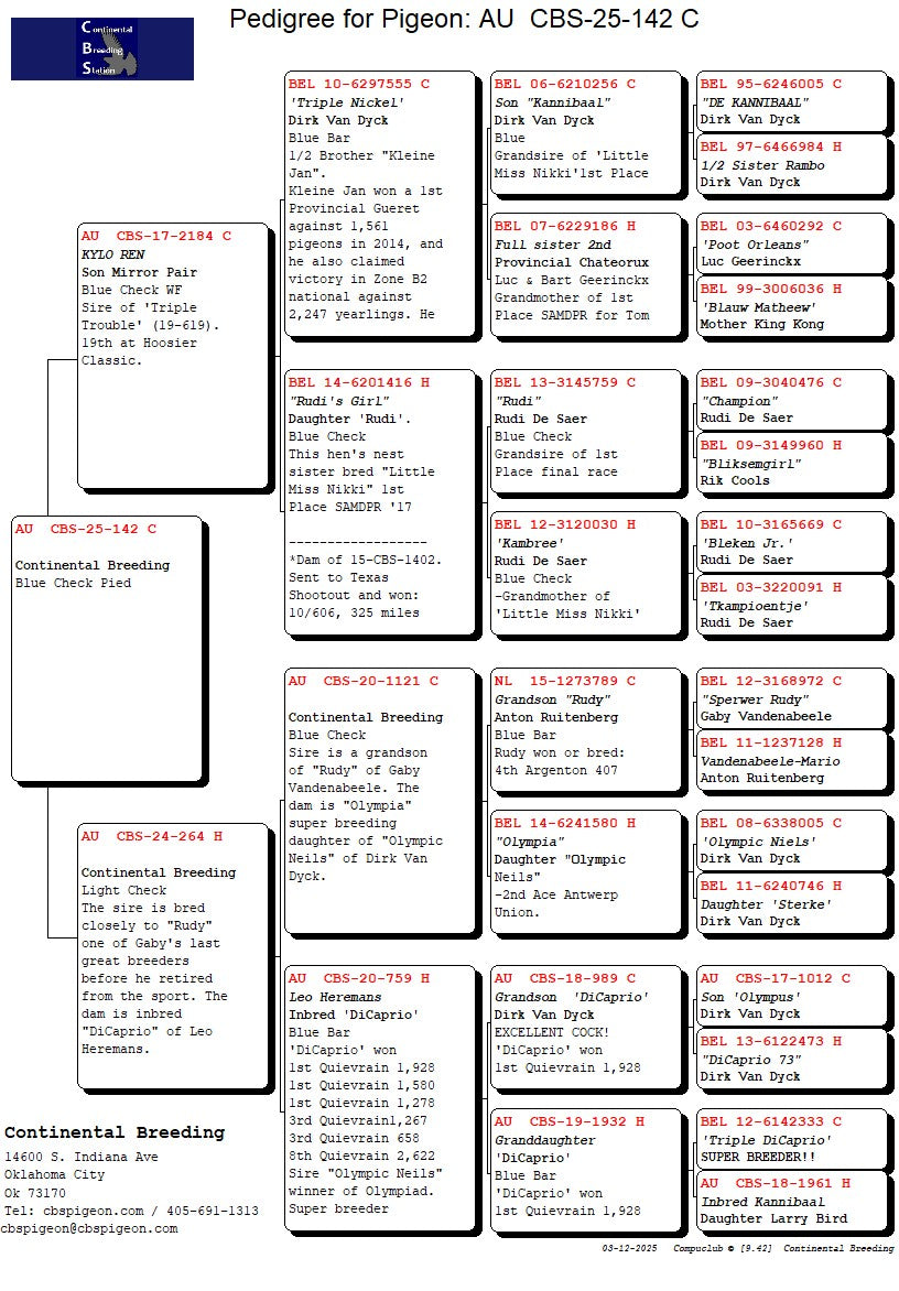 25-CBS-142 Blue check pied male. Son "Kylo Ren"