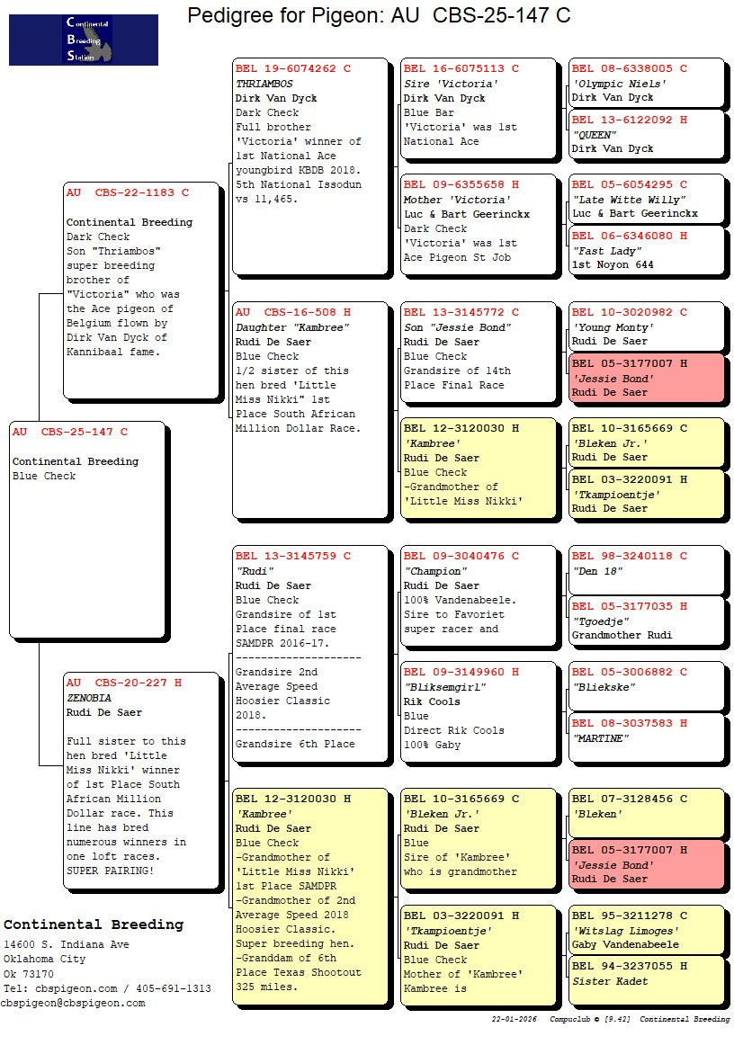 25-CBS-147 Dark Check Male. Son "Zenobia"