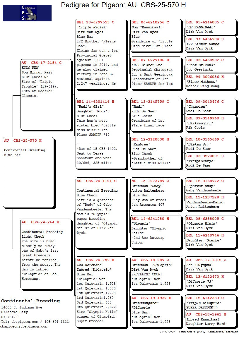 254-CBS-570 Blue hen. Daughter "Kylo Ren".