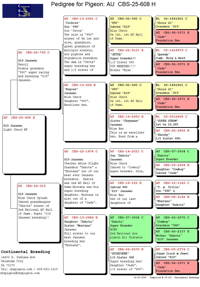 25-CBS-608 Light Check White flight hen. 019 Janssen.