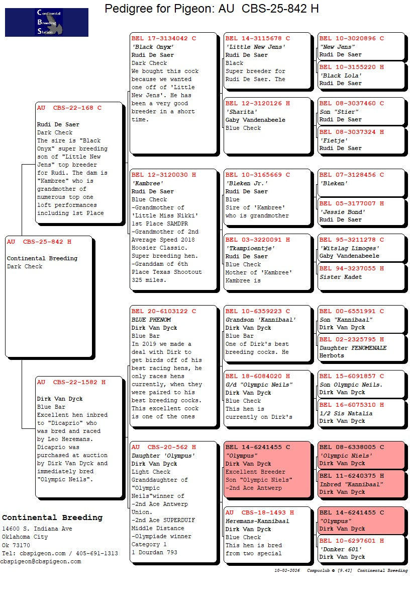25-CBS-842 Dark Check hen.