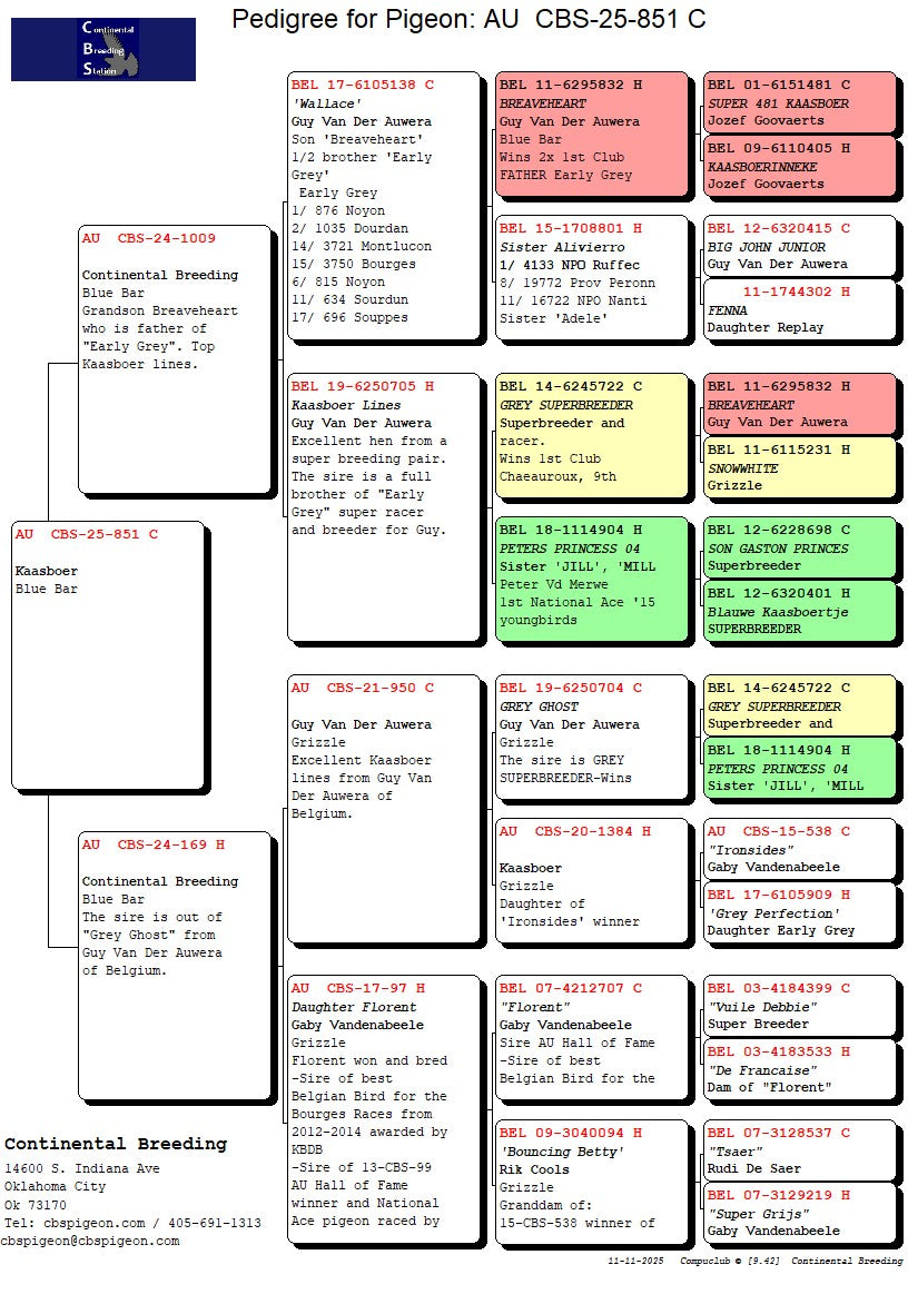 25-CBS-851 Blue male. Kaasboer
