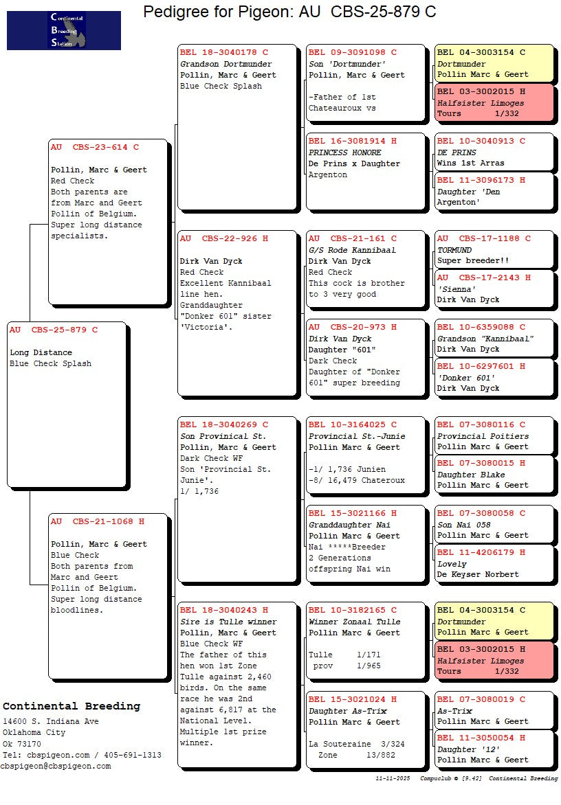 25-CBS-879 Blue check splash male.